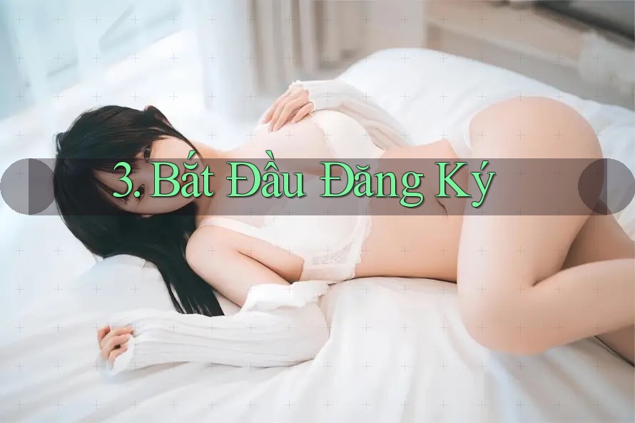 3. Bắt Đầu Đăng Ký